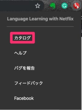 Netflixで英語学習 英語字幕と日本語字幕を同時に表示 Language Learning With Netflix Yuya World Trip